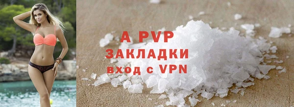 ГАЛЛЮЦИНОГЕННЫЕ ГРИБЫ Белокуриха