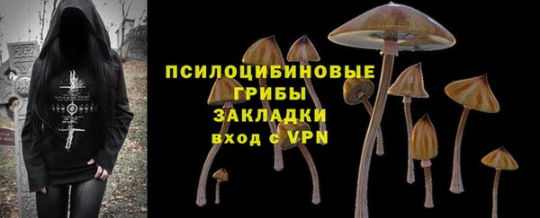 ГАЛЛЮЦИНОГЕННЫЕ ГРИБЫ Белокуриха