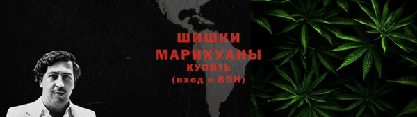 ГАЛЛЮЦИНОГЕННЫЕ ГРИБЫ Белокуриха