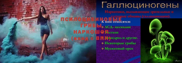 ГАЛЛЮЦИНОГЕННЫЕ ГРИБЫ Белокуриха