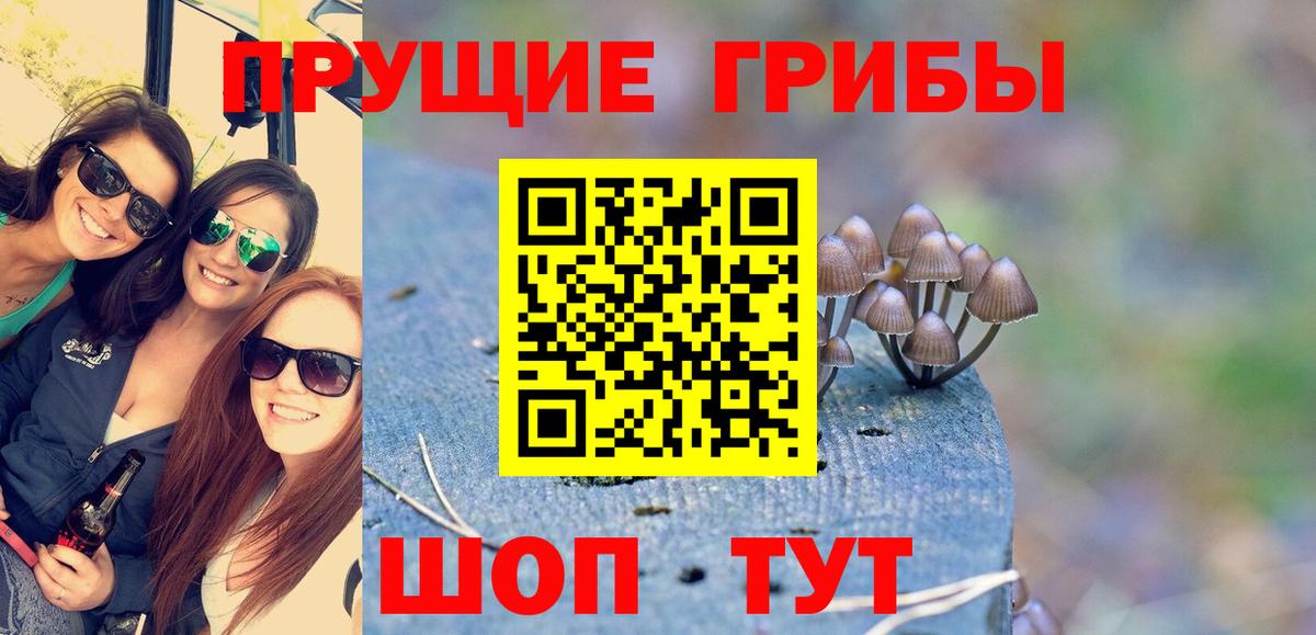 Псилоцибиновые грибы мухоморы  Вход с VPN  хочу наркоту  Галлюциногенные грибы прущие грибы  Городец 