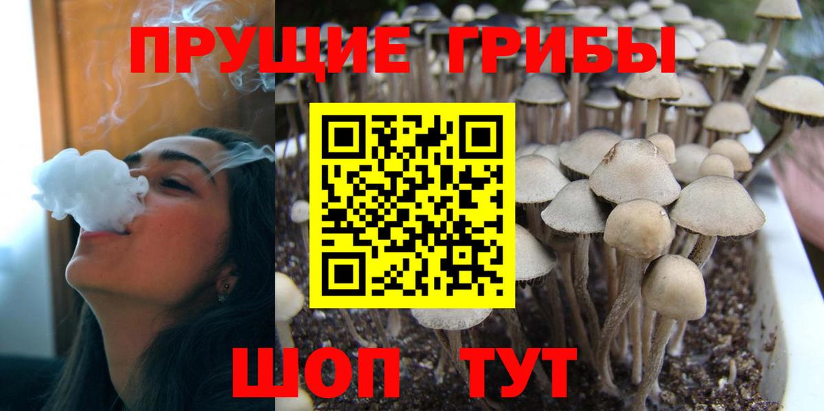 Псилоцибиновые грибы MAGIC MUSHROOMS Городец